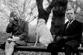Straight on till Morning (1972) Film