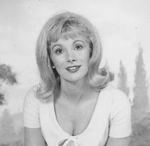 Wonderful Life (1964) (aka Swinger's Paradise) Film