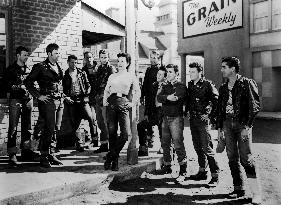 The Wild One film (1953)