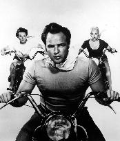 The Wild One film (1953)