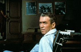 Rear Window film (1954)