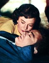 Rebel Without A Cause film (1955)