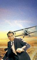 North By Northwest film (1959)