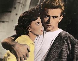 Rebel Without A Cause film (1955)