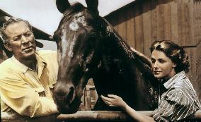 Gypsy Colt film (1954)