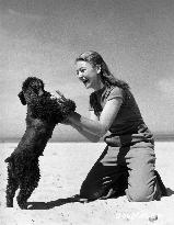 The Golden Salamander film (1950)