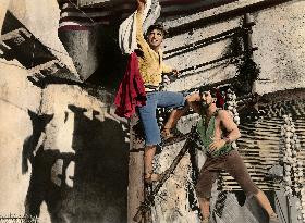 The Crimson Pirate film (1952)