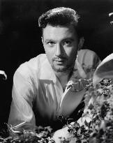 King Richard And The Crusaders film (1954)