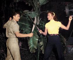 Tropic Zone film (1953)