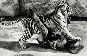 Demetrius And The Gladiators film (1954)