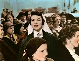 A Farewell To Arms film (1957)