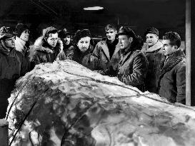 The Thing From Another World film (1951)