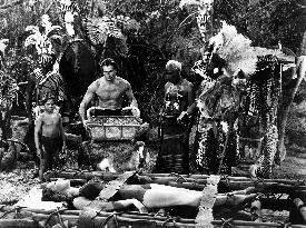 Tarzan'S Savage Fury film (1952)