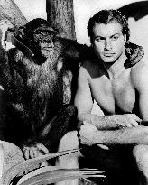 Tarzan And The She-Devil film (1953)