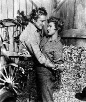 Along The Great Divide film (1951)