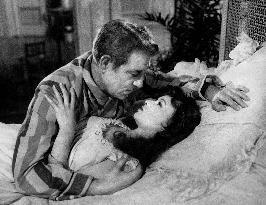 French Cancan film (1954)