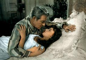 French Cancan film (1954)