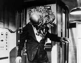 The Return Of The Fly film (1959)