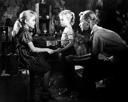 The Man In The Net film (1959)