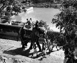The Wind Cannot Read film (1958)