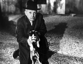 Umberto D film (1952)