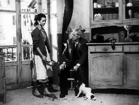 Umberto D film (1952)