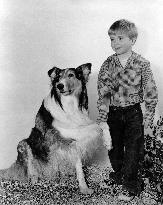 Lassie film (1954)