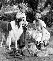 Lassie film (1954)