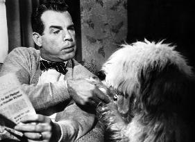 The Shaggy Dog film (1959)