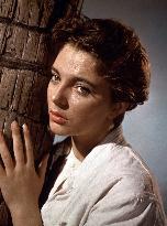 Sea Wife film (1957)