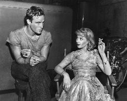 A Streetcar Named Desire film (1951)