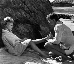 A Summer Place film (1959)