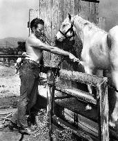 Pony Express film (1953)