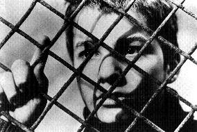 The 400 Blows film (1959)