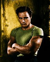 A Streetcar Named Desire film (1951)