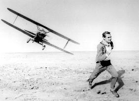 North By Northwest film (1959)