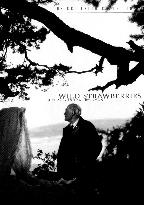 Wild Strawberries film (1957)