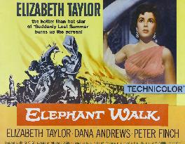 Elephant Walk film (1954)