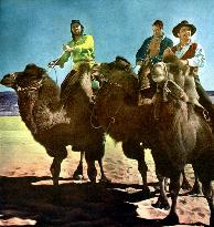 Desert Pursuit film (1952)