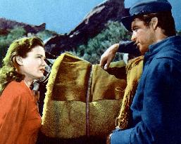 Way Of A Gaucho film (1952)