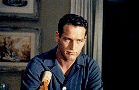 Cat On A Hot Tin Roof film (1958)