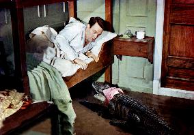 An Alligator Named Daisy film (1955)