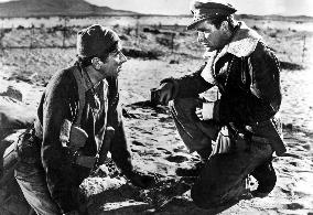 The Desert Rats film (1953)