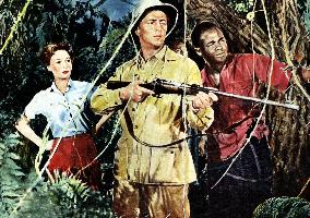 White Witch Doctor film (1953)