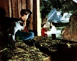 The Sad Horse film (1959)