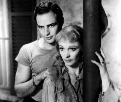 A Streetcar Named Desire film (1951)