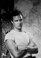 A Streetcar Named Desire film (1951)