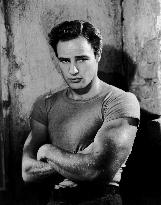 A Streetcar Named Desire film (1951)