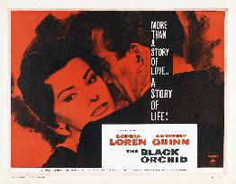 The Black Orchid film (1958)
