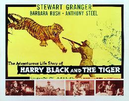 Harry Black And The Tiger film (1958)
